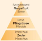 Preview: Duftpyramide Grapefruit